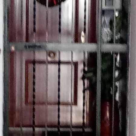 Shared Accommodation A Room With A View Of The Garden セビリア エクステリア 写真